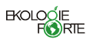 EKO FOOD LTD logo