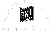 Electronics Services Ltd logo