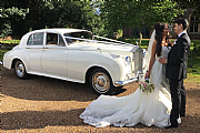 Elegance Wedding Cars logo