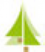 Emerald Trees (UK) Ltd logo