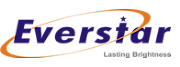 Everstar Ltd logo