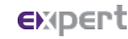 EXPERT SITE SERVICES Ltd logo