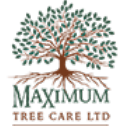 Expert Tree Care Ltd logo