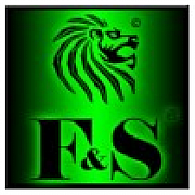 F&S E-Cigs logo
