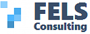 Fels Consulting Ltd logo