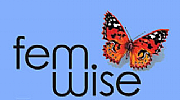 Femwise Ltd logo