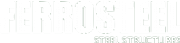 Ferrosteel Ltd logo