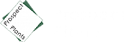 First Prospect Ltd logo