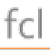 Flagship Computing Ltd logo