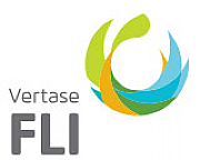 Fli International Ltd logo