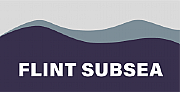 Flint Subsea Ltd logo