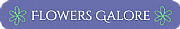 Flowers Galore Ltd logo