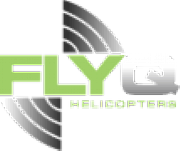 Fly Q Ltd logo