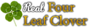 Four Leaf Clovers Ltd logo