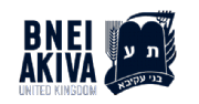 Friends of Bnei Akiva (Bachad) logo