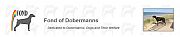 Friends of Northern Dobermanns Ltd logo