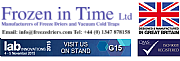 Frozen in Time logo