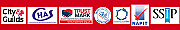 Ftp Electrical Testing Services Ltd logo