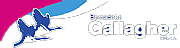 GALLAGHER PUBS LTD logo