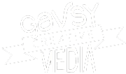 Gavsy Media Ltd logo