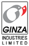 Gizna Ltd logo
