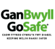 Go Safe Ltd logo