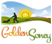 Golden Soney Ltd logo
