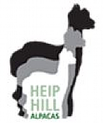 HEIP HILL ALPACAS Ltd logo