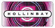 Hollinbay Consultancy Services Ltd logo