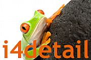 I4detail logo