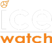 Ice Flower Ltd logo