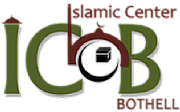 Icob Ltd logo