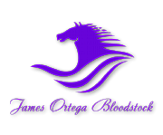James Ortega Bloodstock Ltd logo