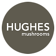 K. Hughes & Co logo