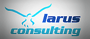 LARUS CONSULTING LTD logo