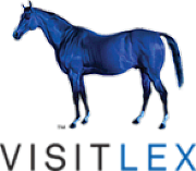 Lexington Capital Ltd logo