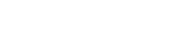 Lily Llc logo