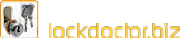 Lock Doctor Services Ltd logo