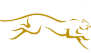 Lows of Dundee Ltd logo