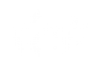 Lush New Media logo
