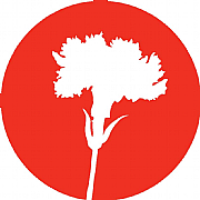 Mac Keith Press logo
