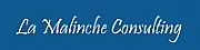 MALINCHE CONSULTING LTD logo