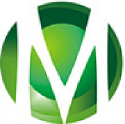 Mico Global Ltd logo
