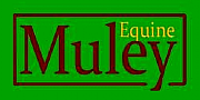 Muley Equine Ltd logo