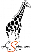 My Spine Chiropractic Ltd logo