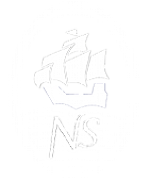 Nailsea School logo