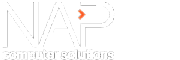 Nap It Solutions Ltd logo