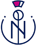 NARDINI CONSULTING LTD logo