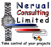 Nerual Consulting Ltd logo