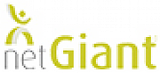 NetGiant Ltd logo